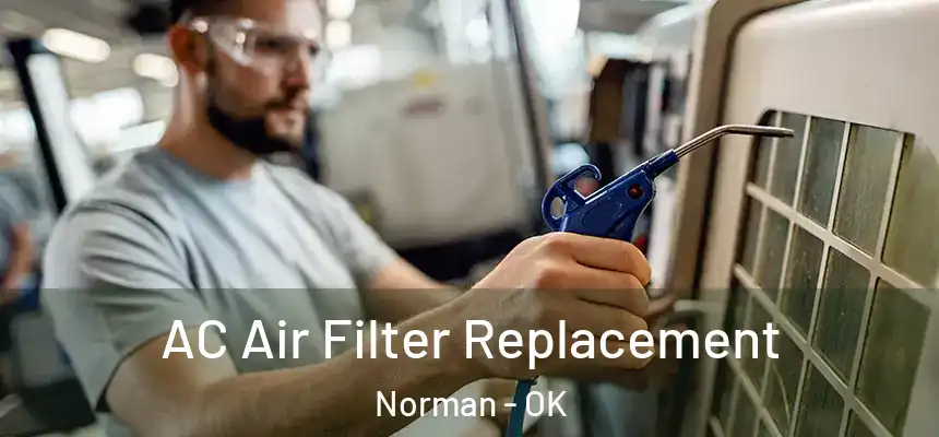  AC Air Filter Replacement Norman - OK