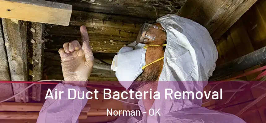  Air Duct Bacteria Removal Norman - OK