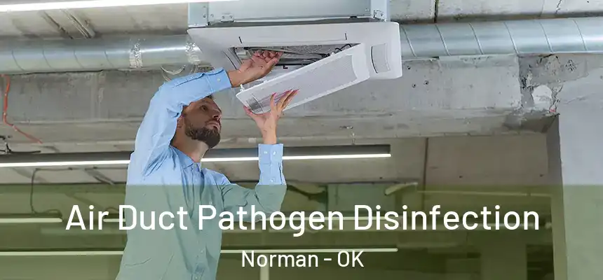  Air Duct Pathogen Disinfection Norman - OK