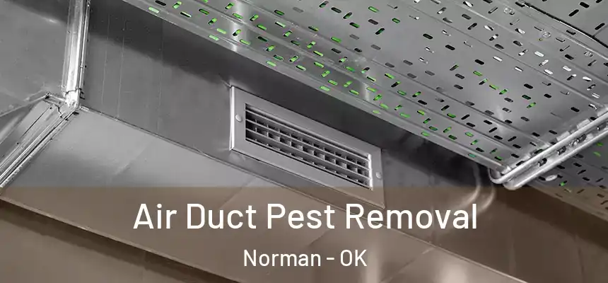  Air Duct Pest Removal Norman - OK