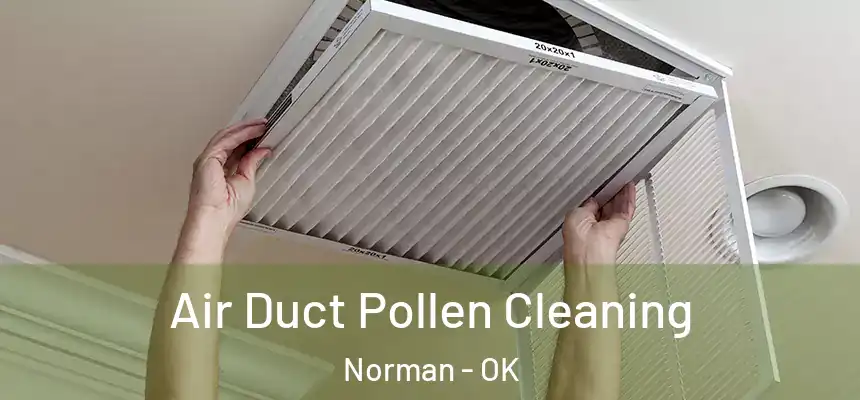  Air Duct Pollen Cleaning Norman - OK