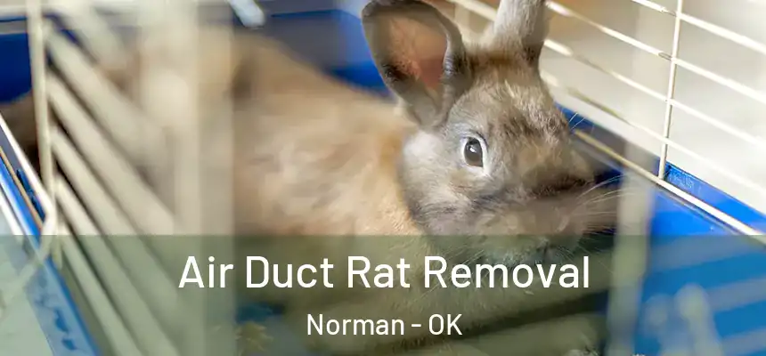  Air Duct Rat Removal Norman - OK