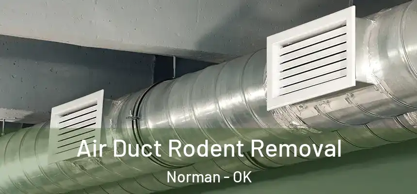  Air Duct Rodent Removal Norman - OK
