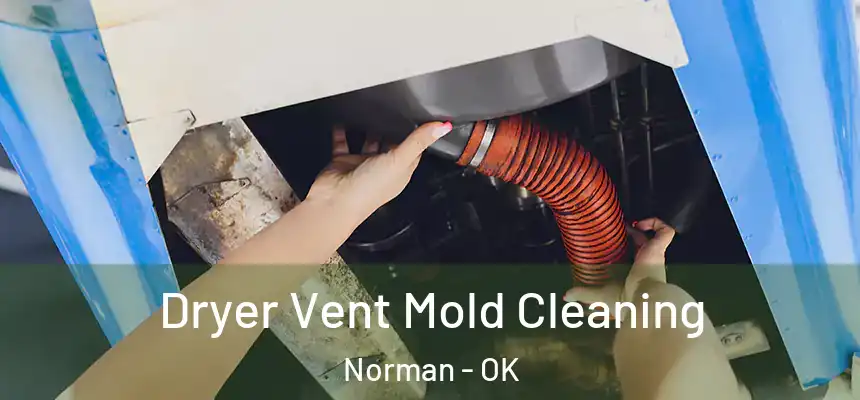  Dryer Vent Mold Cleaning Norman - OK