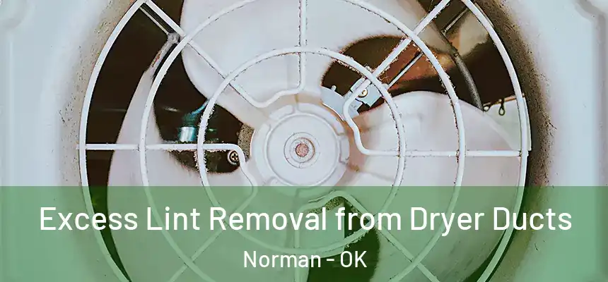  Excess Lint Removal from Dryer Ducts Norman - OK