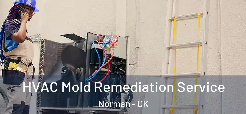  HVAC Mold Remediation Service Norman - OK