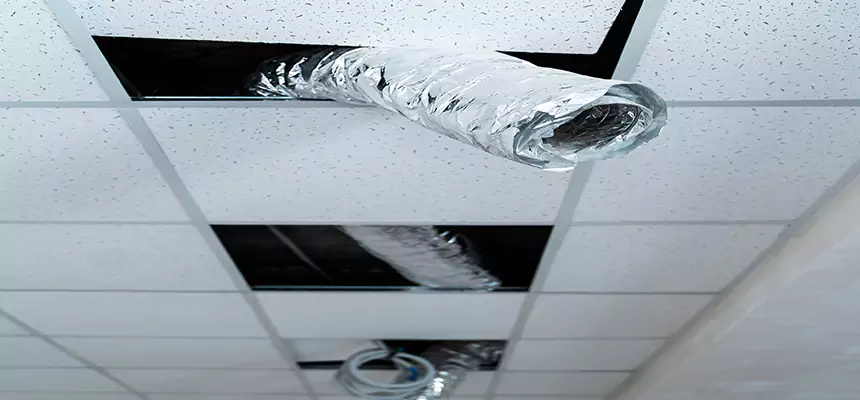 Affordable HVAC Sanitizing After Pest Removal in Norman