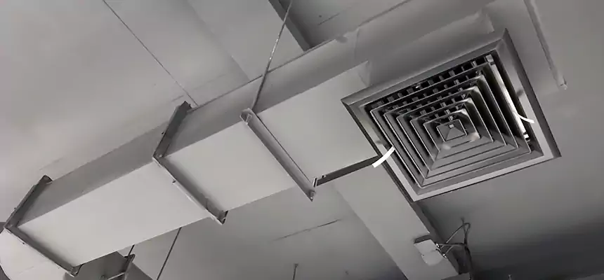 Our Pest Removal From Ducts Services in Norman, OK