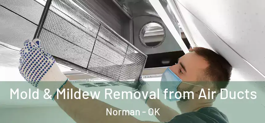  Mold & Mildew Removal from Air Ducts Norman - OK