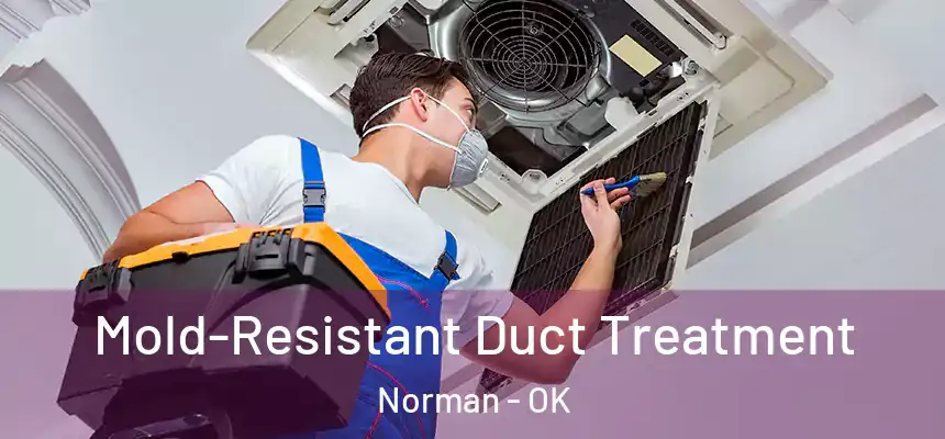  Mold-Resistant Duct Treatment Norman - OK