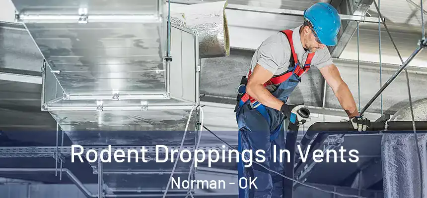  Rodent Droppings In Vents Norman - OK