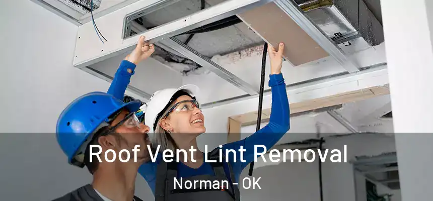  Roof Vent Lint Removal Norman - OK