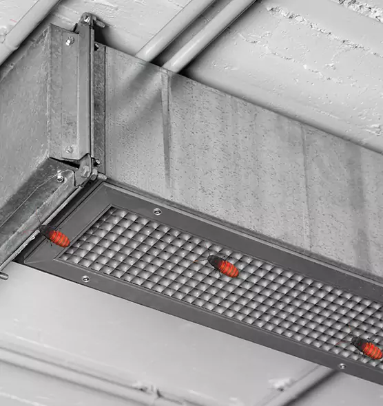About Air Duct Cockroach Removal in Norman, OK