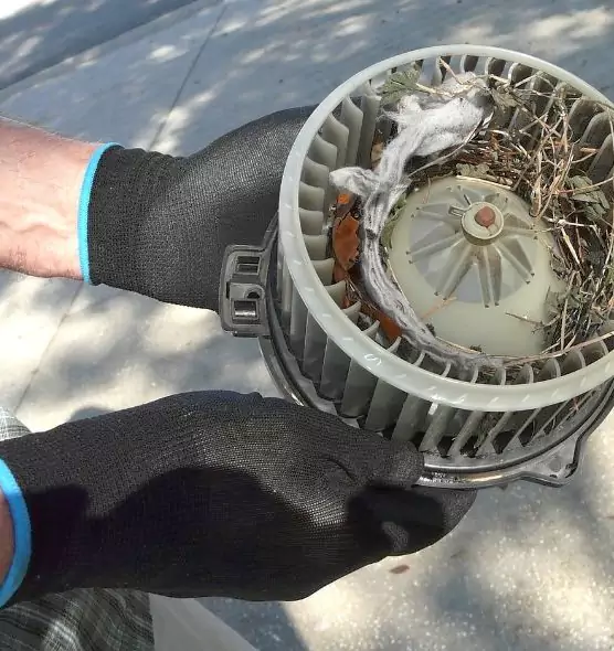 About Air Duct Mice Removal in Norman, OK