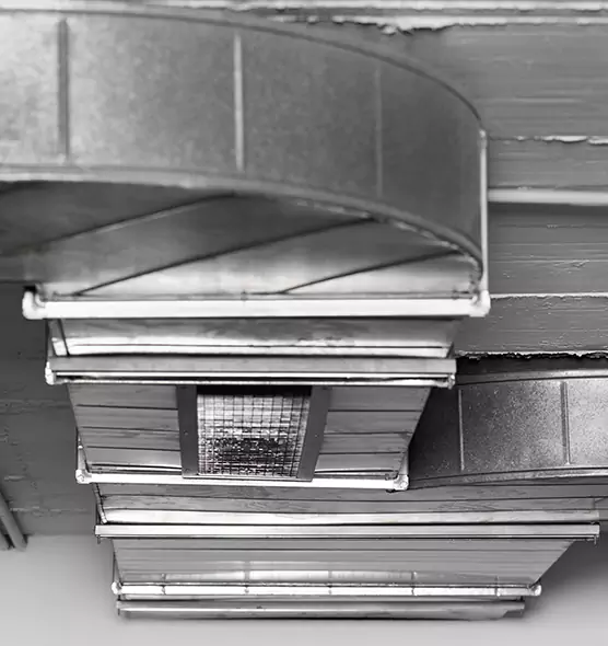 Professional Air Duct Pest Removal in Norman, OK