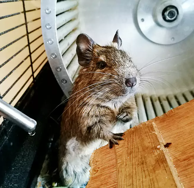 Why Homeowners & Businesses Trust Us Norman, OK?