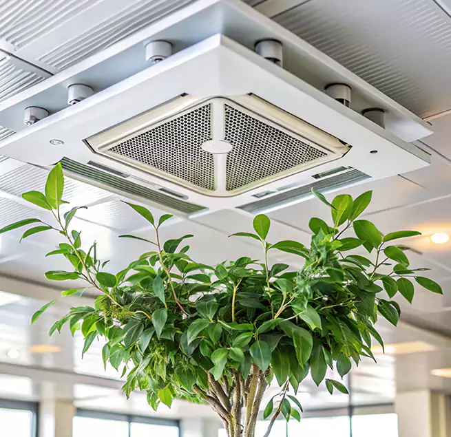 Why Homeowners & Businesses Trust Us in Norman, OK?